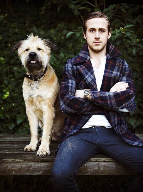 Famosos perros - Ryan Gosling