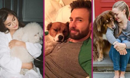 25 adorables fotos de los famosos y sus amados perros. ¡Son sus mejores amigos!