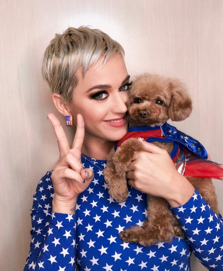 famosos perros- Katy Perry