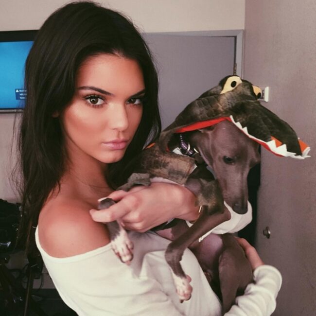 Famosos perros- Kendall Jenner
