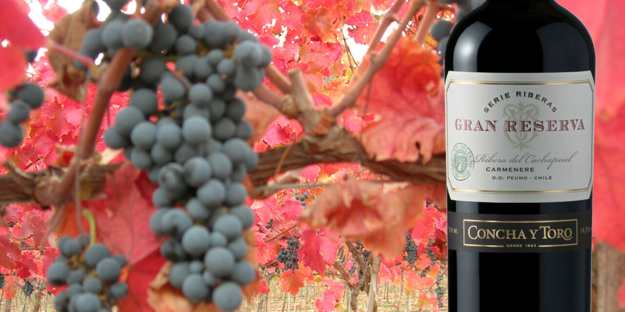 Gran Reserva Serie Riberas: Un vino que roza la perfección