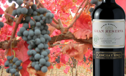 Gran Reserva Serie Riberas: Un vino que roza la perfección