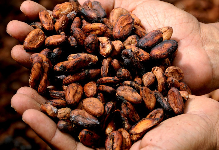 Lifestyle - Día del Cacao