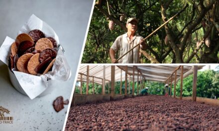 Día Mundial del Cacao: ¡El corazón de nuestro chocolate!