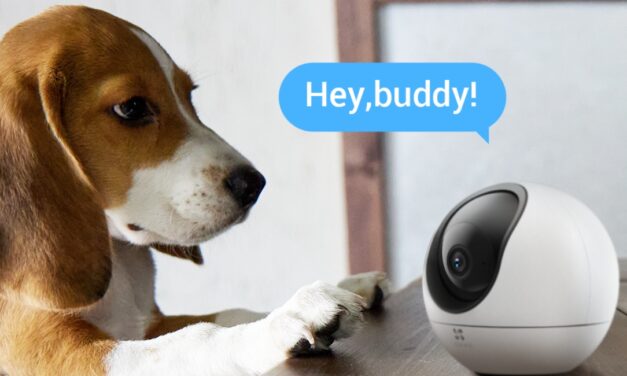 EZVIZ: Las cámaras que hacen sentir acompañadas a tus mascotas cuando sales