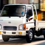 Hyundai HD65 Max: Polivalencia y Confianza en Movimiento